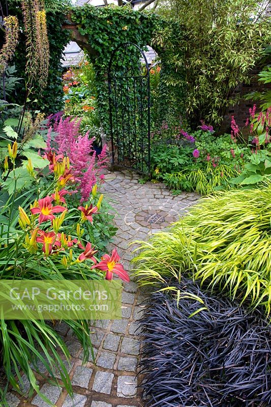 Arched garden gate leading to cobbled garden path. Planting uncludes Black Bamboo, Astilbe 'Purple Lance', Hakonochloa macra 'Aureola, Ophiopogon, Astilbe 'Red Sentinel' and Ligularia 'The Rocket'