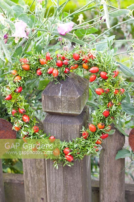 Heart of rose hips and Satureja - Summer savory