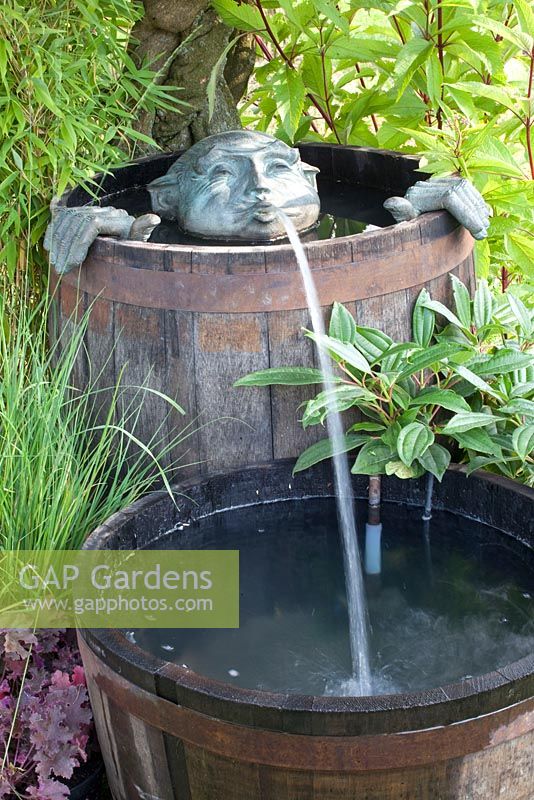Gargoyle fountain in water feature