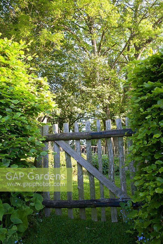 Wooden gate at the entrance to the vegetable garden, Wyckhurst Kent