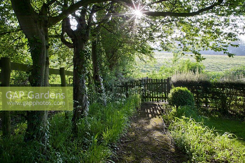 Pathway to the garden entrance, Wyckhurst Kent
