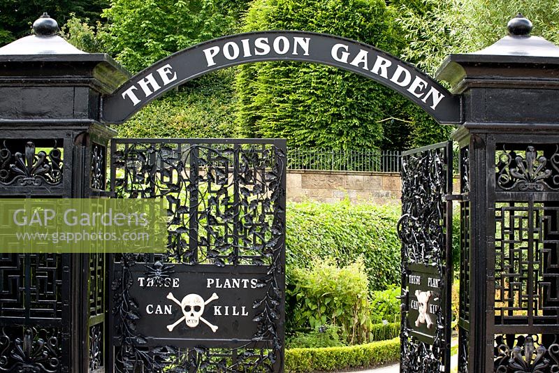 The Poison Garden. Alnwick garden. UK