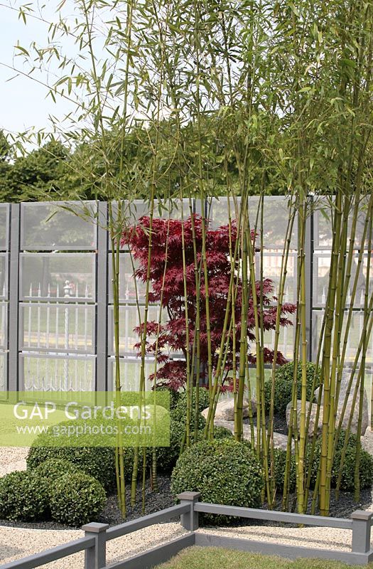 'Virtual Reality Garden' at Hampton Court Flower Show 2012