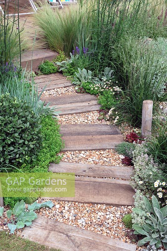 Drought tolerant plants along timber and gravel path in the Coastal drift garden. Hampton Court Palace Flower Show 2012
