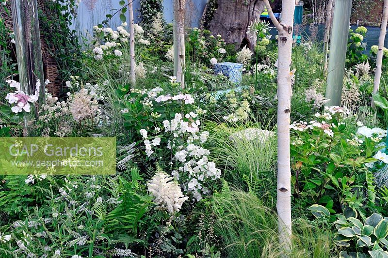 Extensive planting of shade and damp loving plants. A corner of the world garden, Hampton Court Palace Flower show 2012