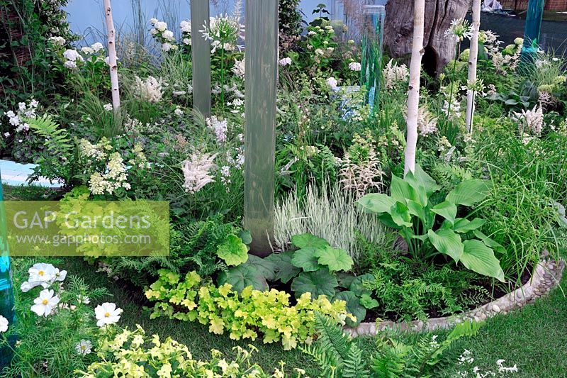 Shades of yellow green and white in damp shady bed. A corner of the world garden, Hampton Court Palace Flower show 2012