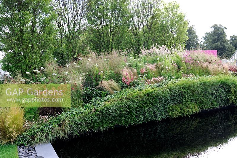 Extensive planting along bridge with Gleditsia, grasses, perennials and the side lined with ferns and grasses. 'Bridge Over Troubled Water' garden, Hampton Court Palace  Flower show 2012