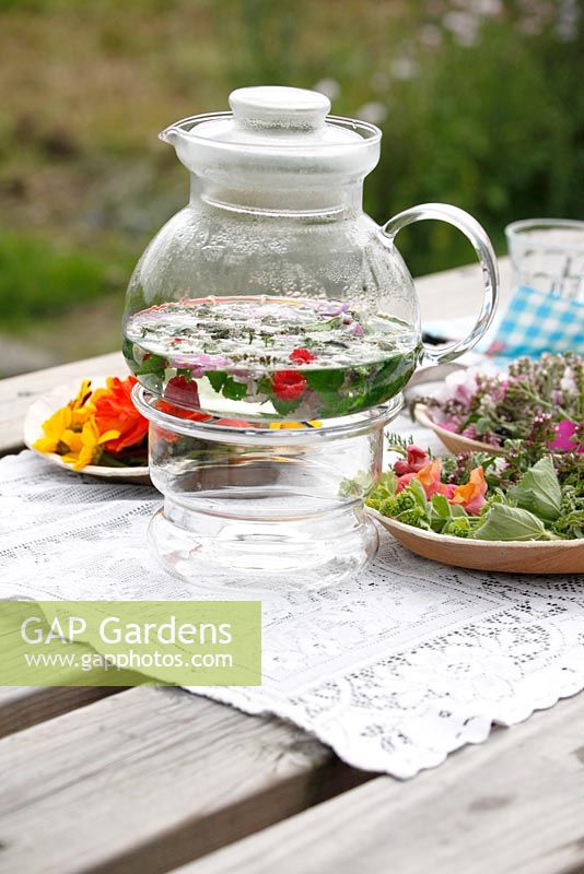 Organic flowers suitable for making tea or a salad - Nursery Bloemrijk