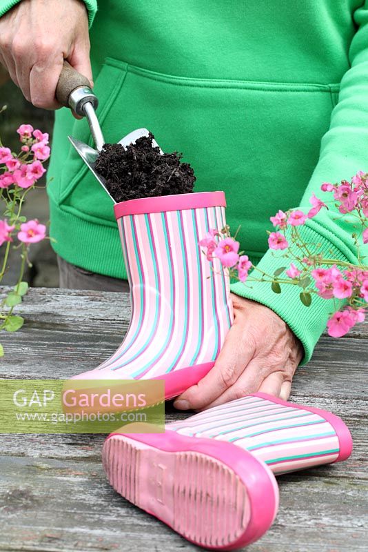 Step by step of planting a pair of recycled kids wellies with Diascia 'Little Dancer' - Filling wellies with compost