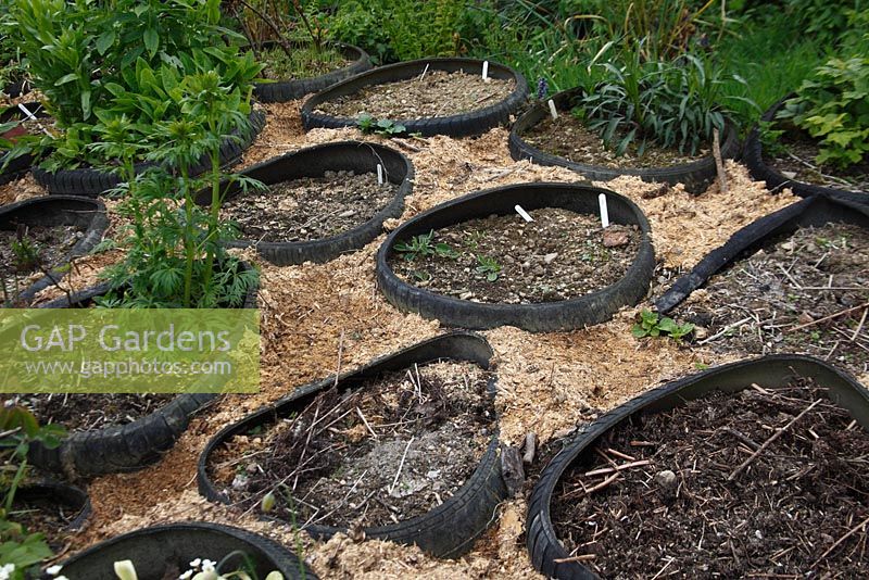 Controlling weeds between the tyres using fresh sawdust mulch