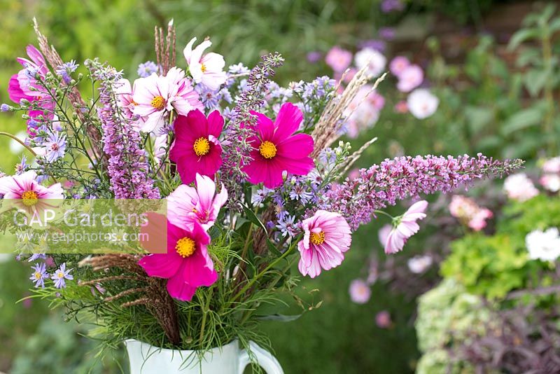 Step by step - Making arrangement from freshly cut flowers including Cosmos 'Gazebo White' and 'Sweet Sixteen' 