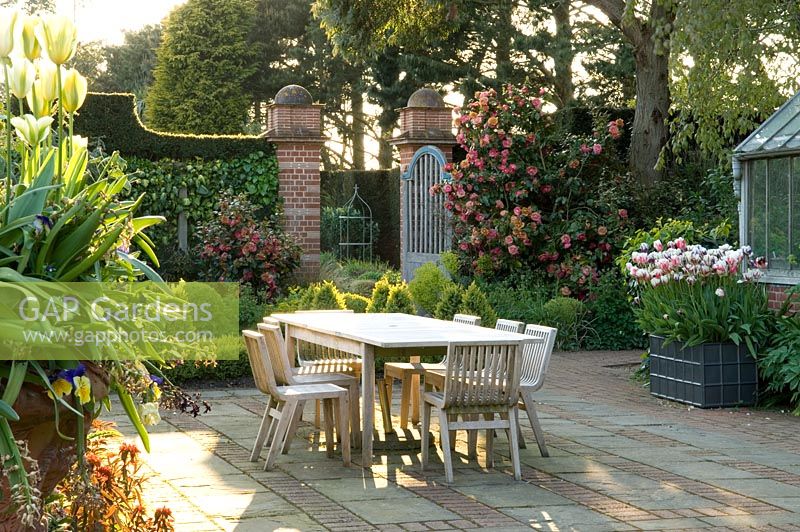 Walled patio terrace with dining table and chairs. Containers of tulips and Camellia  flanking gate - East Ruston Old Vicarage
