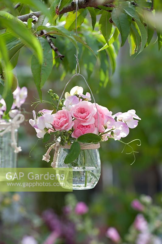 Sweet peas and roses hanging in the glass