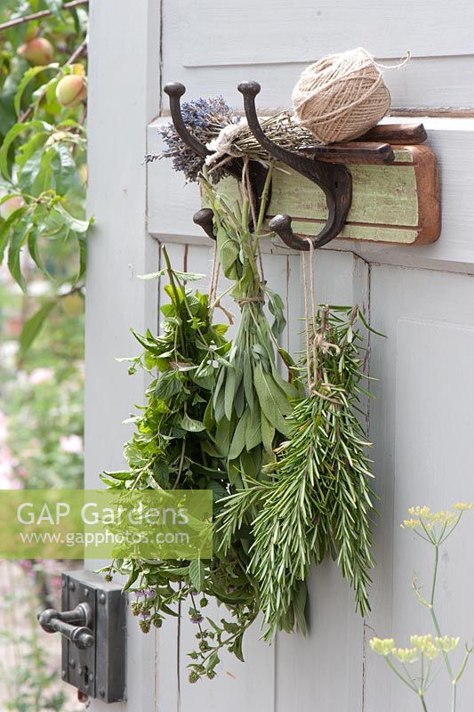 Bouquets of herbs hanging up to dry - Rosemary, Sage, Mint and Thyme