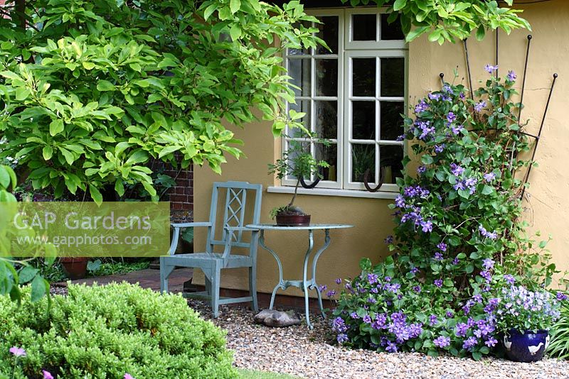 Gravel path leading to cottage entrance, seating area with bonsai in pot, Clematis 'Arabella' and Viola in container - Sallowfield Cottage B&B, Norfolk