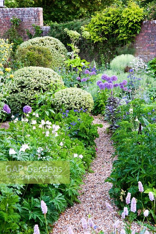 The walled herb garden features mounds of Phlomis fruticosa, variegated box and masses of herbs including purple sage, tansy, fennel, monkshood, flowering alliums and aquilegias and pink bistort. Beechenwood Farm, Odiham, Hants, UK