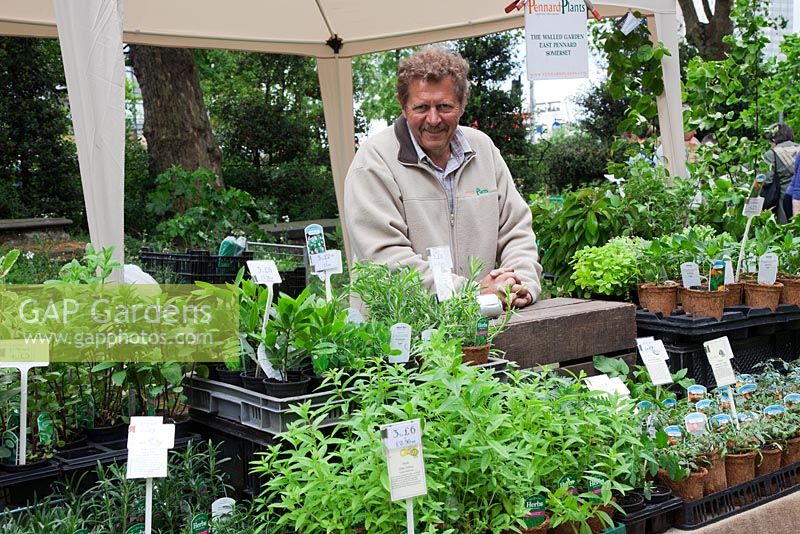 The Garden Museum. Chris Smith of Pennards Plants at the plant fair.