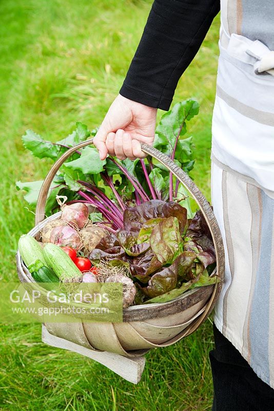 Woman holding a trug loaded with freshly picked vegetables. Lettuce 'Roxy', Garlic, Courgettes, Onions, Beetroot, potatoes and tomatoes.  
