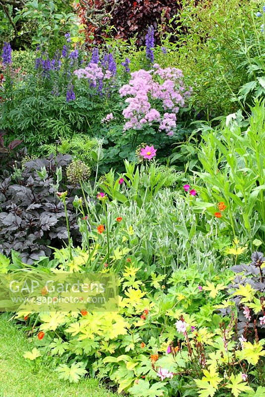 Mixed border in the front garden with Cosmos, Lychnis, Aconitum, Eupatorium, Allium 'Purple Sensation' seedheads and Geum - The Lizard, Wymondham, Norfolk