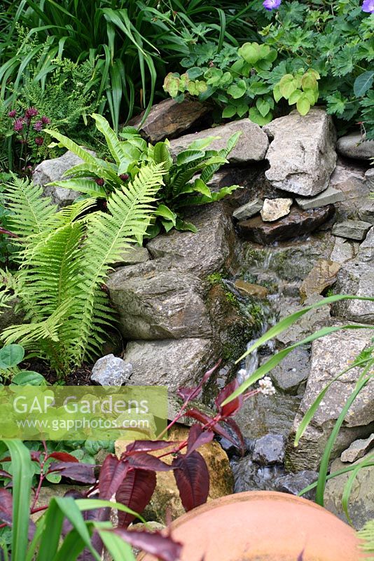 Cascading water feature surrounded by ferns and Epimedium - The Lizard, Wymondham, Norfolk