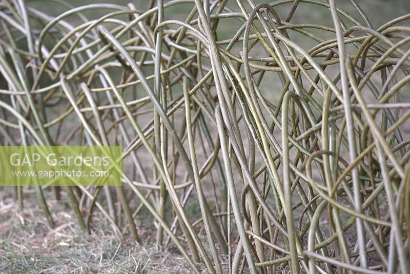 Twisted, naturalistic low willow fence.  Hampton Court Flower Show 2012.
