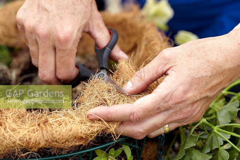 Making hanging basket - cutting holes in liner for plants