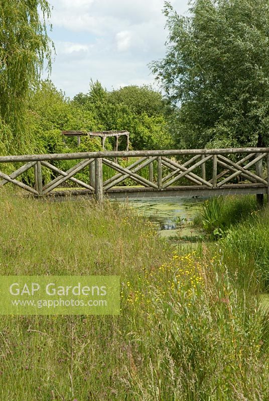 Wooden bridge over pond surrounded by long grass and Willow trees at Wood Farm. June