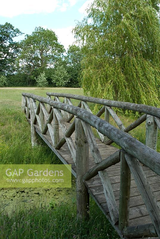 Wooden bridge over pond with long grass and a Willow tree at Wood Farm. June