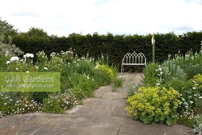 The White garden at Wood Farm - Stone paths with Rosa 'Iceberg', Artemesia, Alchemilla mollis, Nigella damascena 'Love-in-a-Mist', Digitalis - Foxgloves, Erigeron Karvinskianus - Daisies, Buxus - clipped box balls, white Campanula and a white metal Strawberry Gothic bench by the Yew hedge, June