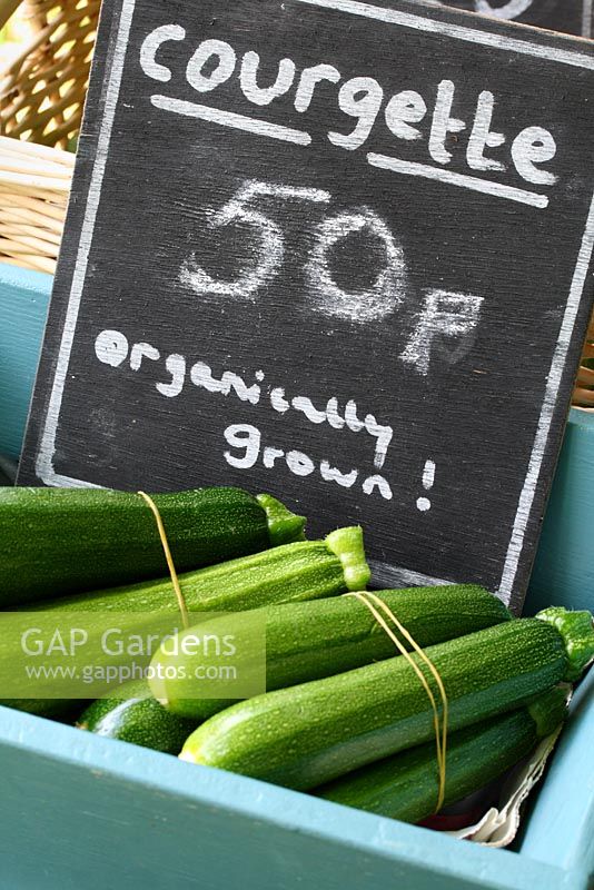 Courgettes for sale on driveway stall leading up to Annabels Egg Shed - Cavick House Farm, Norfolk