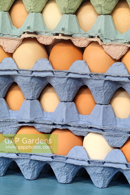 Trays of free range eggs for sale - Annabel's Egg Shed, Cavick House Farm, Norfolk
