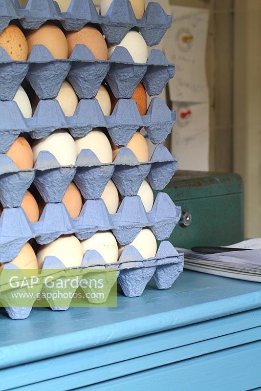 Trays of free range eggs for sale in Annabel's Egg Shed - Cavick House Farm, Norfolk