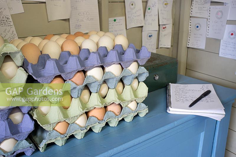 Self service counter with stacked trays of free range eggs, honesty box, notepad to write down sales and notes from happy customers pinned to the walls - Annabels' Egg Shed, Cavick Farm House, Norfolk