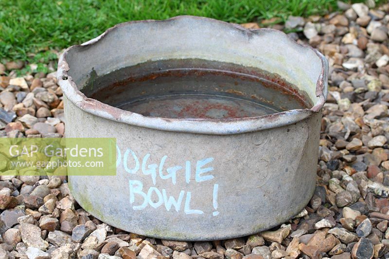 Doggie bowl on gravel outside Annabel's Egg Shed - Cavick House Farm, Norfolk