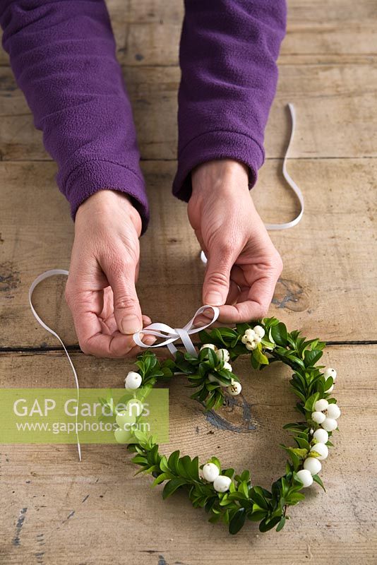 Tying decorative ribbon for hanging snowberry and buxus wreath 