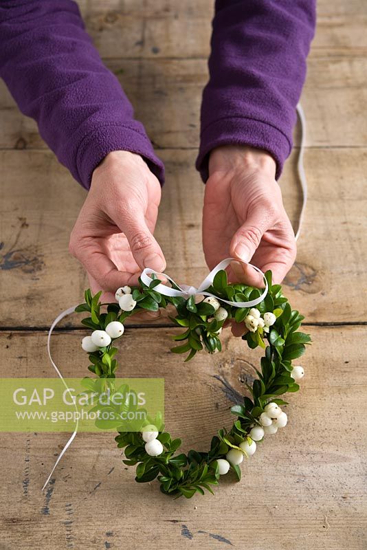 Tying decorative ribbon on snowberry and buxus heart shaped wreath to hang 