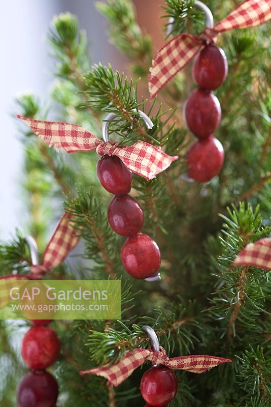 Step-by-step - Cranberry Christmas decorations
