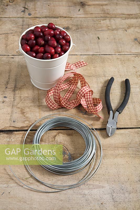 Step-by-step - Materials and equipment for creating a heart shaped decoration using cranberries