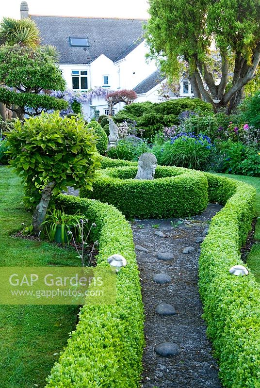 Box hedges edge the central path that leads through the first section of this 250 feet long garden, here including a circular section framing a stone head, and featuring largely blue flowering plants including Centaurea montana - Bude Street, Appledore, Devon, UK