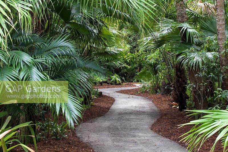 The Duck Pond Trail is planted with lush native Florida vegetation - McKee Botanical Garden, Vero Beach, Florida