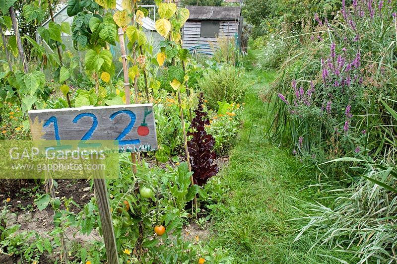 Plot number 122 sign with allotment, path and shed behind, Golf Course Allotments, London Borough of Haringey.