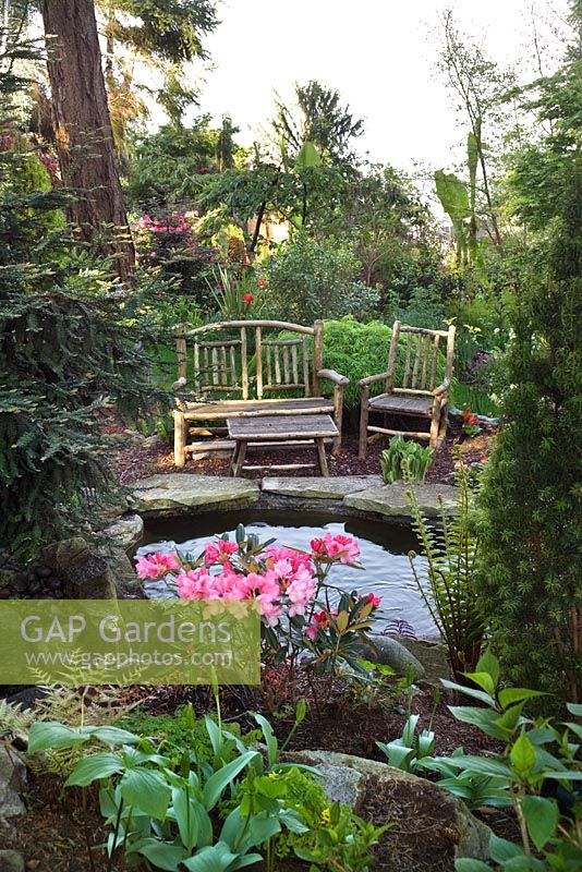 Pond in a woodland garden with rustic, hand made furniture. Planting includes Azalea, Convallaria majalis, Trillium and ferns - Seattle, USA