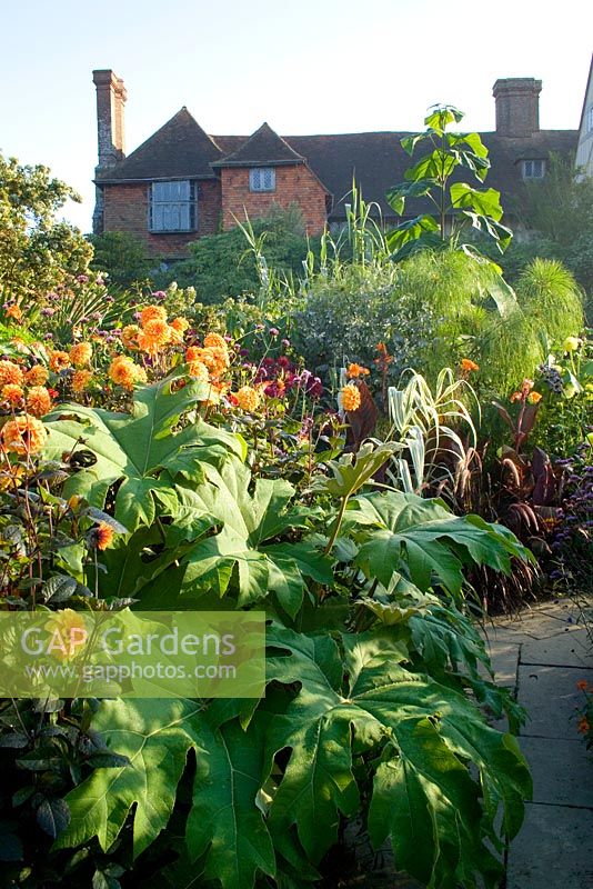 Early morning in the exotic garden at Great Dixter with Tetrapanax papyrifer and Dahlia 'David Howard' in the foreground