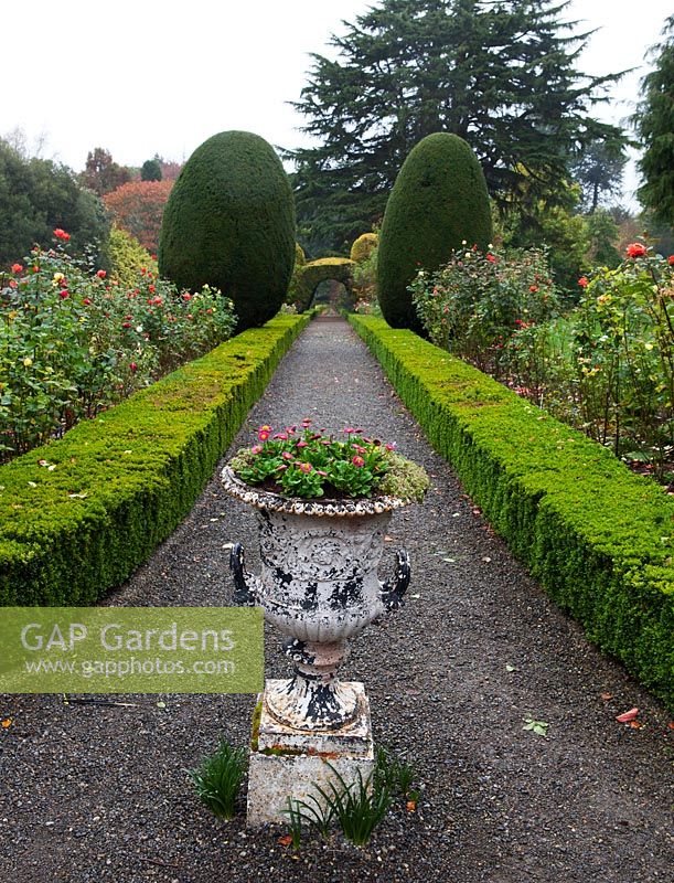 The Broad Walk with planted urn, clipped Irish Yew, Rose borders and Box hedges - Altamont Gardens, Tullo, Carlow, Ireland. Managed by the Office of Public Works