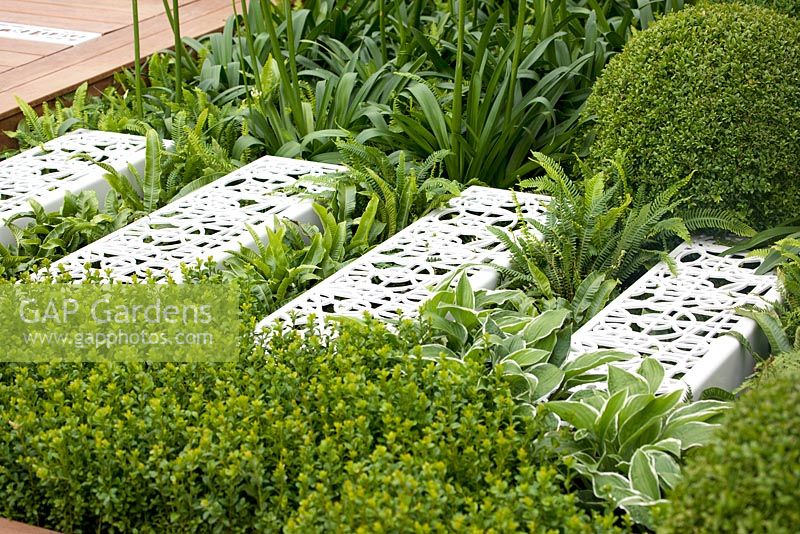 Floating metal steps, repeating box spheres, ferns, Agapanthus and Hosta in contemporary garden, Hampton Court Palace flower show 2012.
