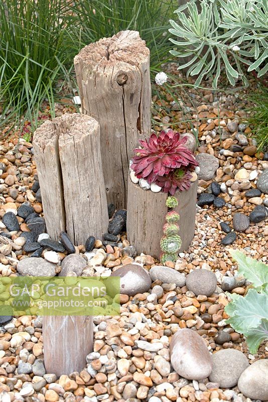'Coastal Drift Garden', Hampton Court Palace Flower Show 2012. Succulents planted on a wooden pole and in between stones.