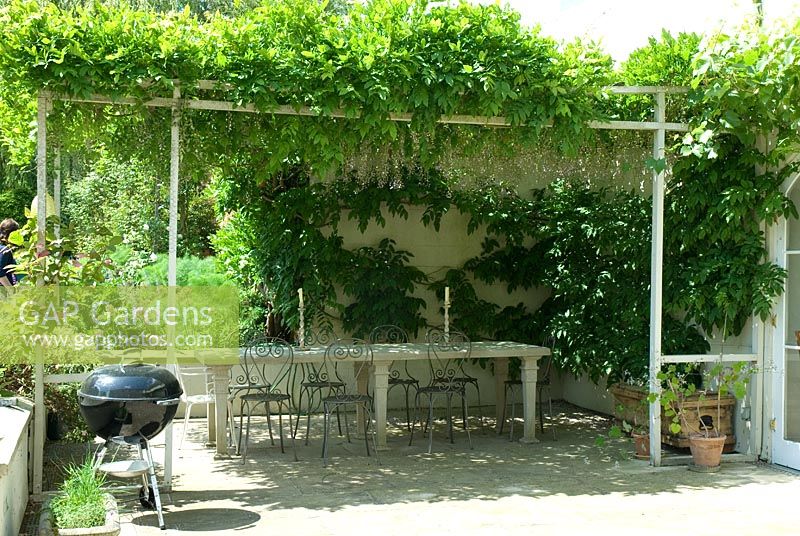 Outside dinning area with a canopy of Wisteria and a portable barbeque, May