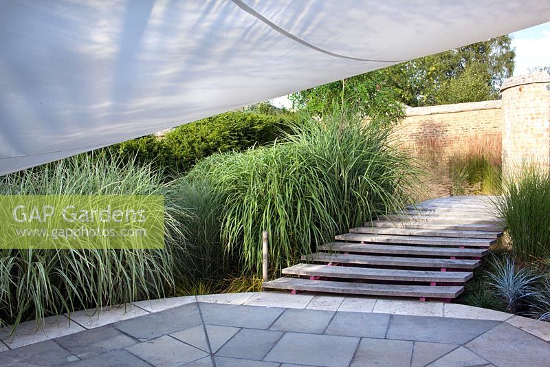 The terrace edged with Miscanthus sinensis 'Variegatus', Miscanthus 'Malepartus' and 'Gracillimus' 