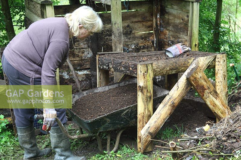 Sieving compost - Barrowful of sieved compost ready for use