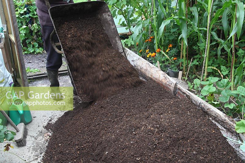 Sieving compst - Pile of sieved compost in polytunnel